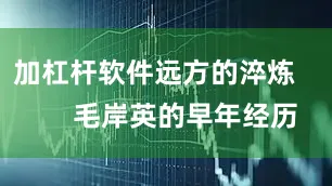 加杠杆软件远方的淬炼        毛岸英的早年经历