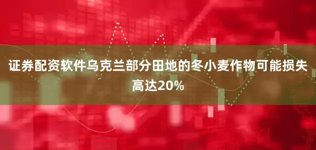证券配资软件乌克兰部分田地的冬小麦作物可能损失高达20%